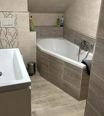 Guest house Orlice Bartosovice v Orlickych Horach
